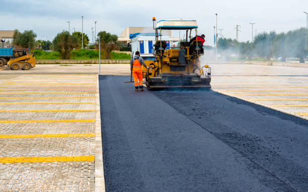 Best Professional Driveway Pavers  in Carrollton, KY
